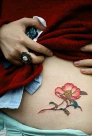 woman's abdomen beautiful floral tattoo pattern Daquan