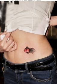 Girl's abdomen beautiful looking colorful small goldfish tattoo picture
