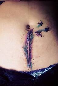 Covering the caesarean section scar with feathers and small swallow tattoo pictures