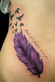 abdomen beautiful fresh feather tattoo