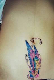 caesarean section female favorite belly color butterfly tattoo