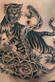 belly tattoo boys belly snake and tiger tattoo pictures