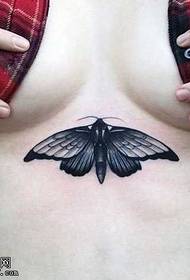 abdomen moth tattoo pattern