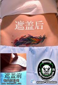abdominal mask knife疤Color feather tattoo pattern