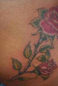 abdomen colored red rose and bud tattoo pattern