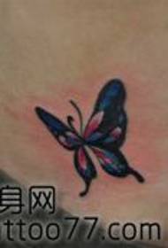красота живота классический красивый рисунок татуировки бабочки