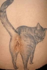 wzór tatuażu śmieszne brzuch kota