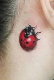 Vehivavy mandry taorian'ny modely vita amin'ny tatoazy Ladybug Tattoo