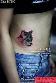 girls belly a cool cat tattoo pattern