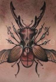 model de tatuaj gât insecte culoare