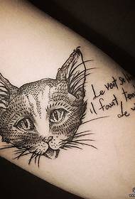 Big line cat letter tattoo pattern