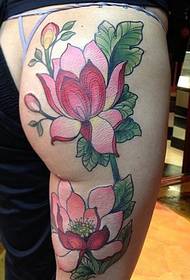 baineann masa patrún tattoo álainn Lotus