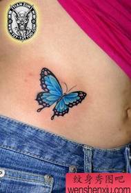 κοιλιά τατουάζ μοτίβο: ομορφιά κοιλιά χρώμα πεταλούδα τατουάζ μοτίβο
