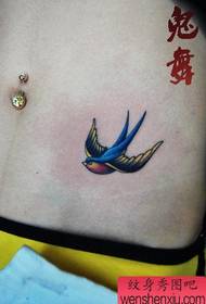 beauty abdomen small and popular little swallow tattoo pattern