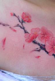 Nanchang Angel Branded Tattoo Show Bar Works: Abdomen Plum Blossom Pattern di tatuaggi