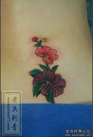 Abdominal tattoo pattern: beauty belly color floral tattoo pattern