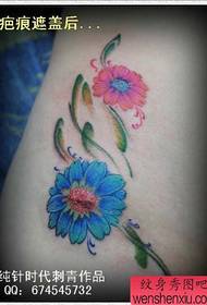 grožio pilvas populiarus gražios spalvos mažas Zouju tatuiruotės modelis