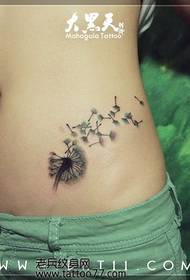 girl abdomen good looking dandelion tattoo pattern