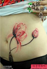 corpo del tatuaggio del fiore di colore della pancia della donna Il lavoro è condiviso dallo spettacolo di tatuaggi