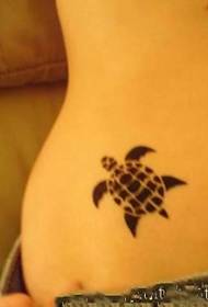 미녀 복부 귀여운 작은 거북이 문신 도안