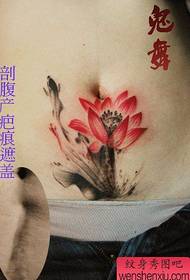belleza vientre cicatriz cubierto tinta loto tatuaje patrón