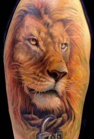 shoulder color realistic lion Head tattoo picture