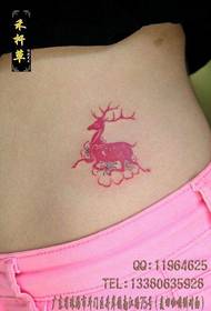 mergaitės pilvas mielas mažas Sikos elnio tatuiruotės modelis