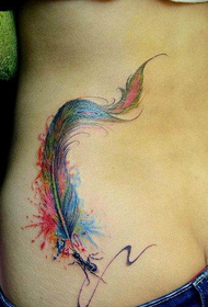 beautiful beautiful color feather tattoo Pattern Daquan