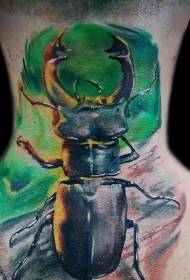 neck natural color insect tattoo pattern