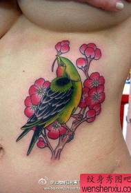 female belly color bird tattoo pattern