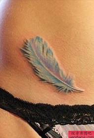 girls belly elegant color feather tattoo pattern