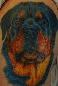 Pola Rottweiler Tattoo warna realistis bahu