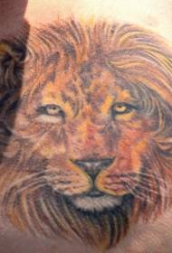 back realistic color lion head tattoo pattern