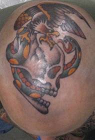zmija i lubanja u boji glave uzorak tetovaže