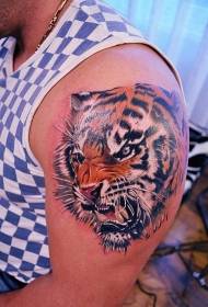 male shoulder color realistic tiger head tattoo picture