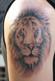 male shoulder brown lion head tattoo picture
