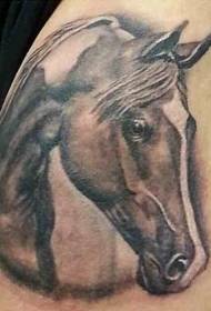 male shoulder color horse head tattoo pattern