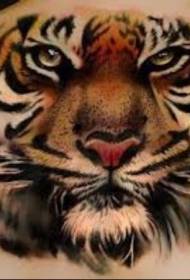 Male Back Color Tiger Head Tattoo Picture