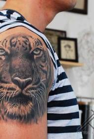spalla realistica a colori Grande immagine del tatuaggio della testa di tigre