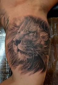 imagen de tatuaje de cabeza de león realista de color de hombro masculino