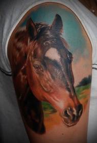 shoulder color realistic horse head tattoo pattern