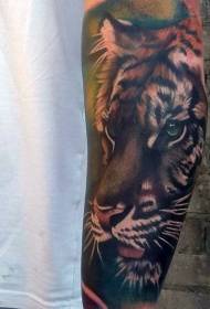 roka lepa barvna tigrova glava realističen vzorec tatoo