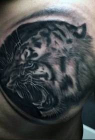 胸の現実的なスタイルの黒と白の虎の頭のタトゥーパターン