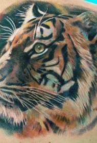 back beautiful tiger head tattoo pattern