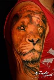 didelis gražus liūto galvos tatuiruotės modelis