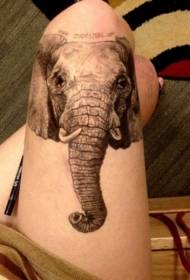 thigh realistic elephant head and letter tattoo pattern