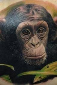 patró de tatuatge de planta ximpanzés realista de colors realista