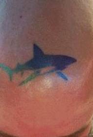 модел на татуировка на главата: икона цвят на татуировка на тотем акула модел