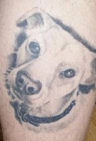 cabeça de cachorro branco tatuagem realista padrão