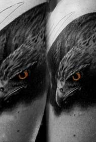 color real photo style eagle head tattoo pattern